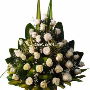 Abanico Fúnebre Económico Cali