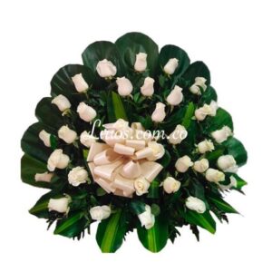 Abanico Fúnebre Rosa Blanca eco