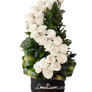 Condolecías Cali Flores