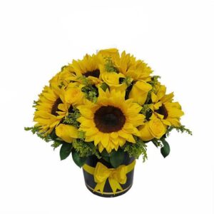 Girasoles Flores Amarillas Enamórate