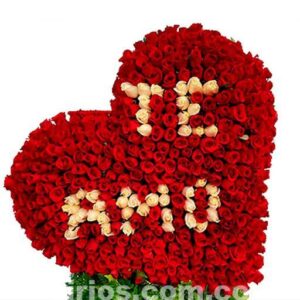 Corazon Rosas De Lujo Grande