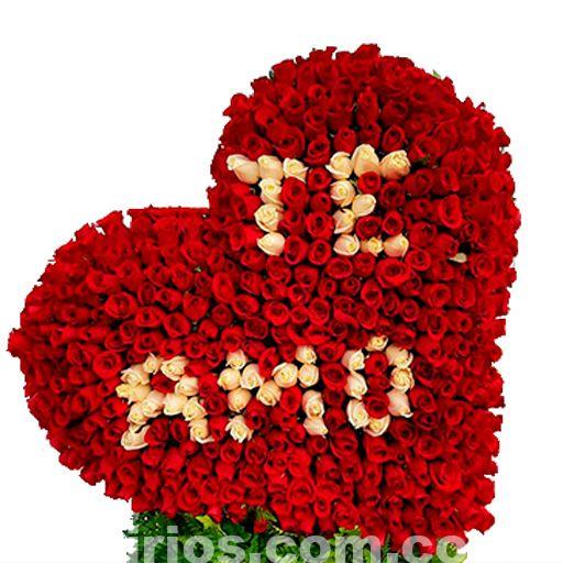 Corazon Rosas De Lujo Grande