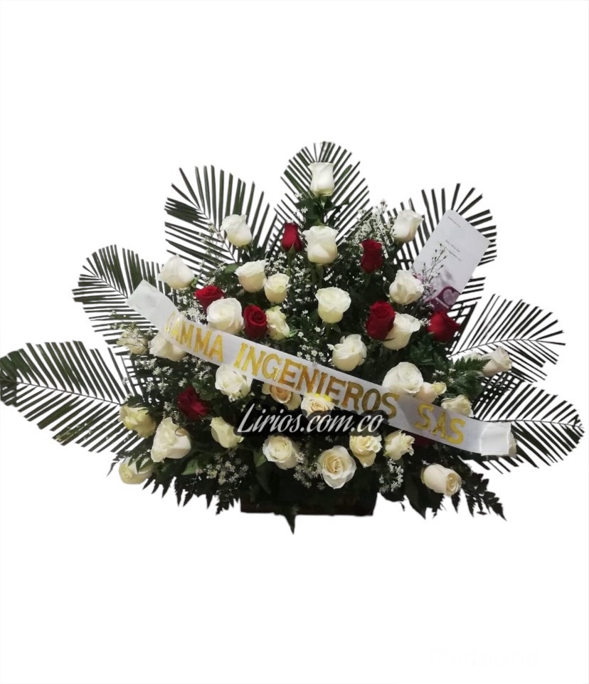 Ramos Fúnebres Cali