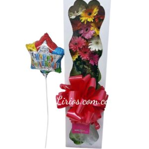 Caja de gerberas x 12 flores en cali