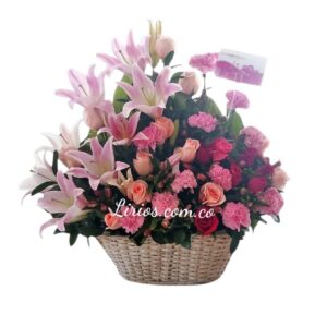 Flores Bebés y Nacimientos