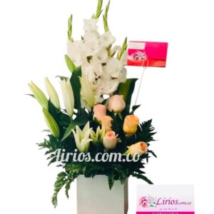 Rosas en Cali Cubo Sorprendente