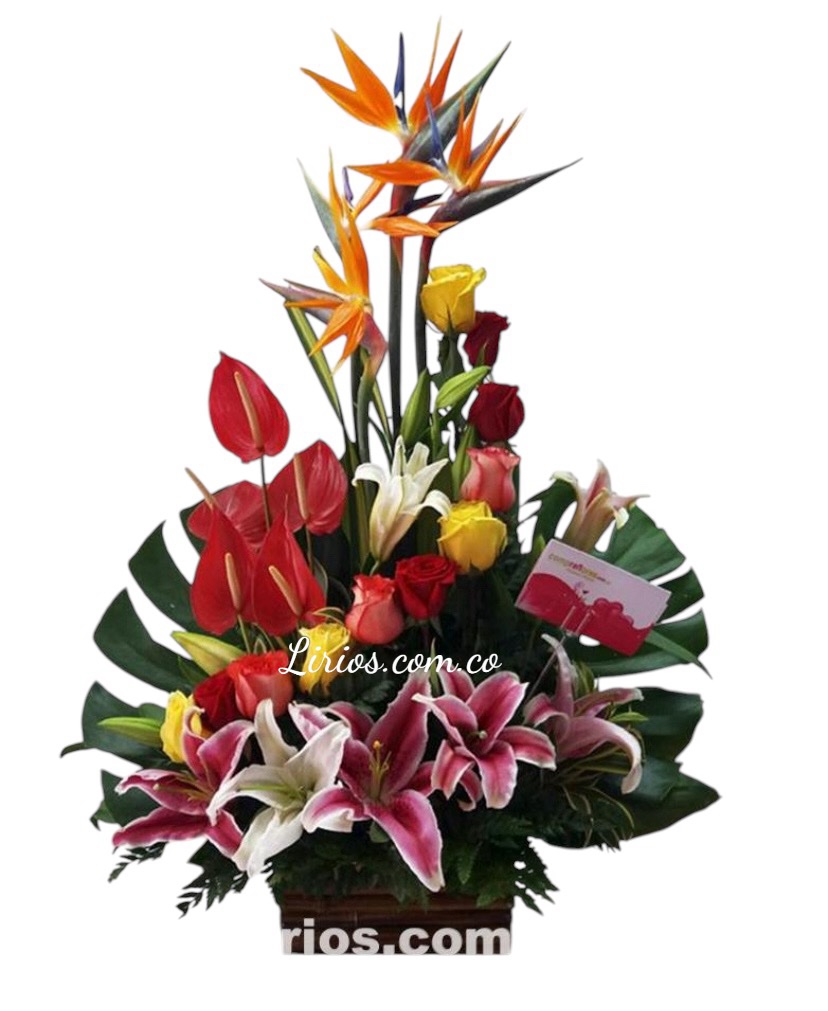 Arreglo Exótico Lirios Cali