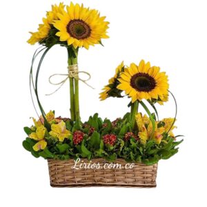 Canasta de Girasoles para Sorprender Domicilios en cali
