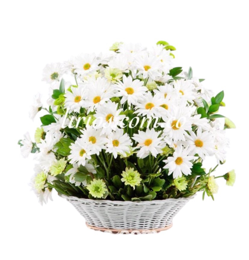 Flores Condolencias Cali