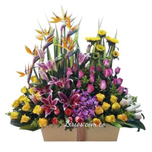 Carnaval floral envíos en cali