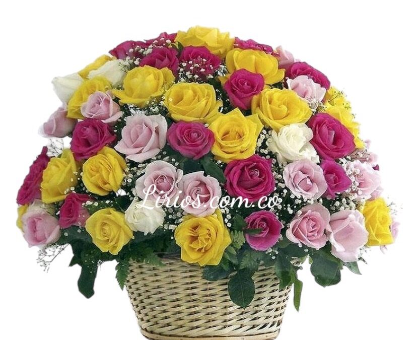 Floristeria Cali Norte