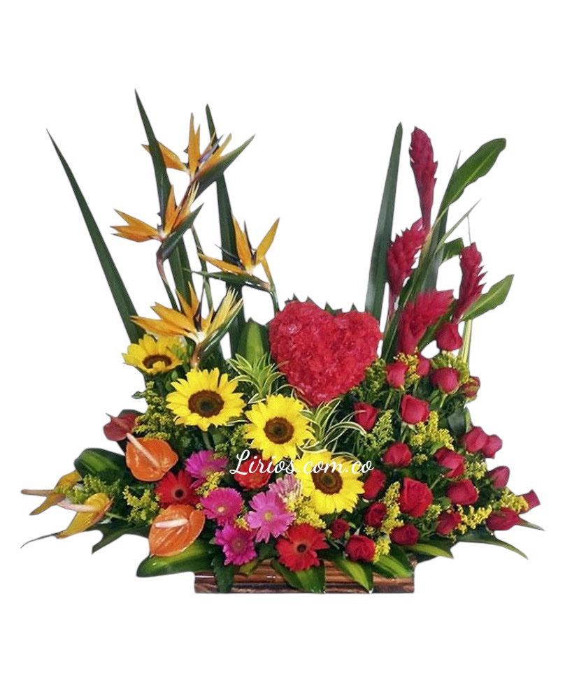 Encanto de Flores entregas en cali