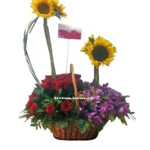 Flores y Rosas Oeste Cali