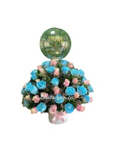 Ramos Flores Nacimientos Bebes