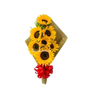 Girasoles Cali Detalles